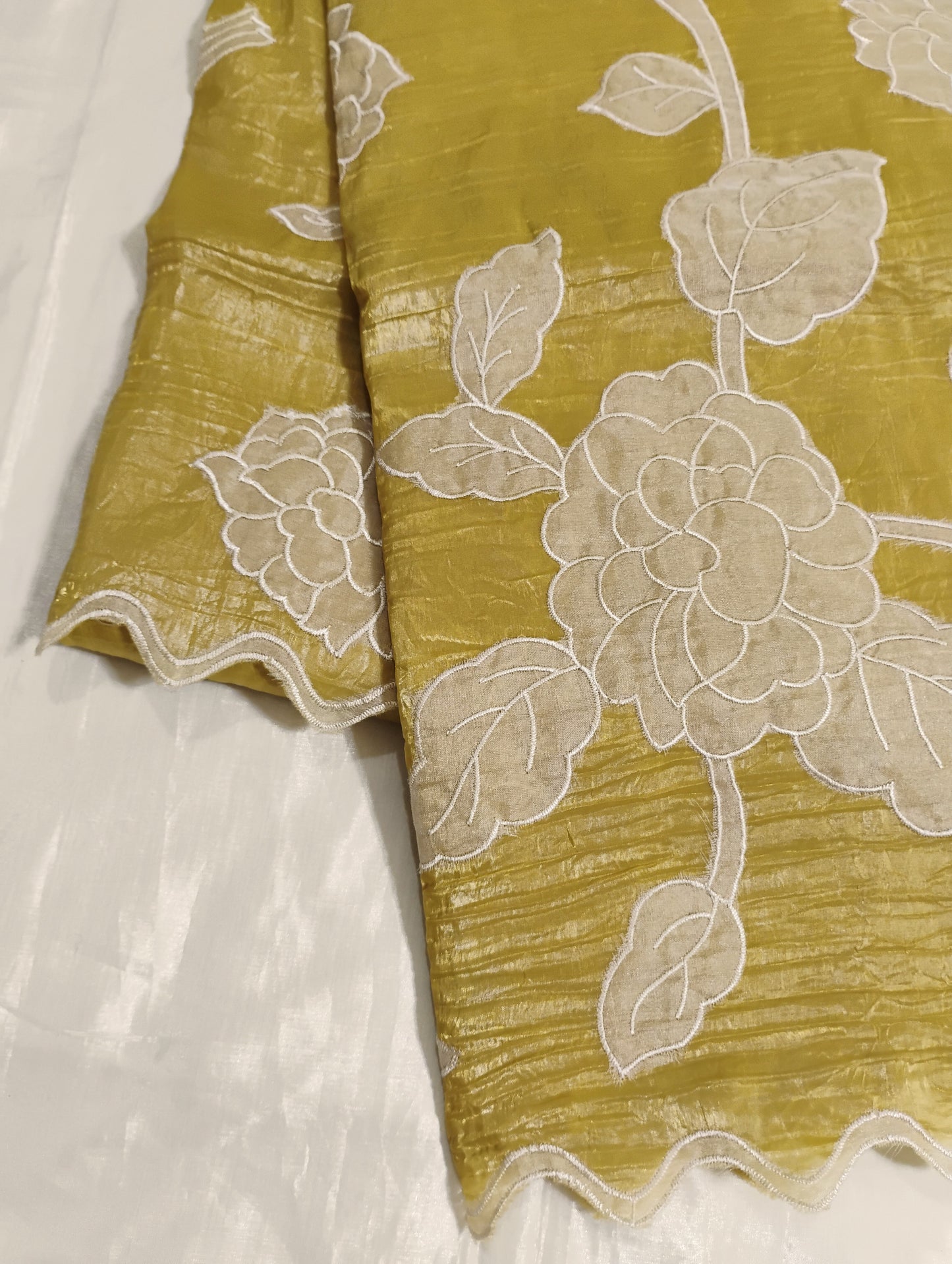 Organza Baige patterned Saree